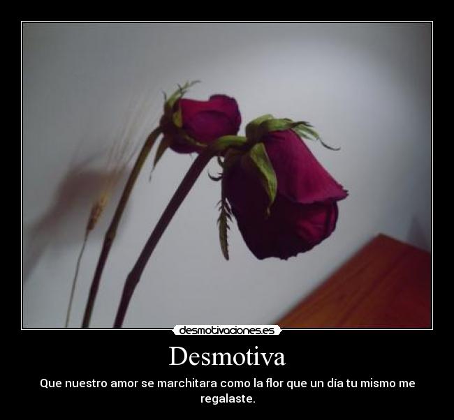Desmotiva - Que nuestro amor se marchitara como la flor que un día tu mismo me regalaste.