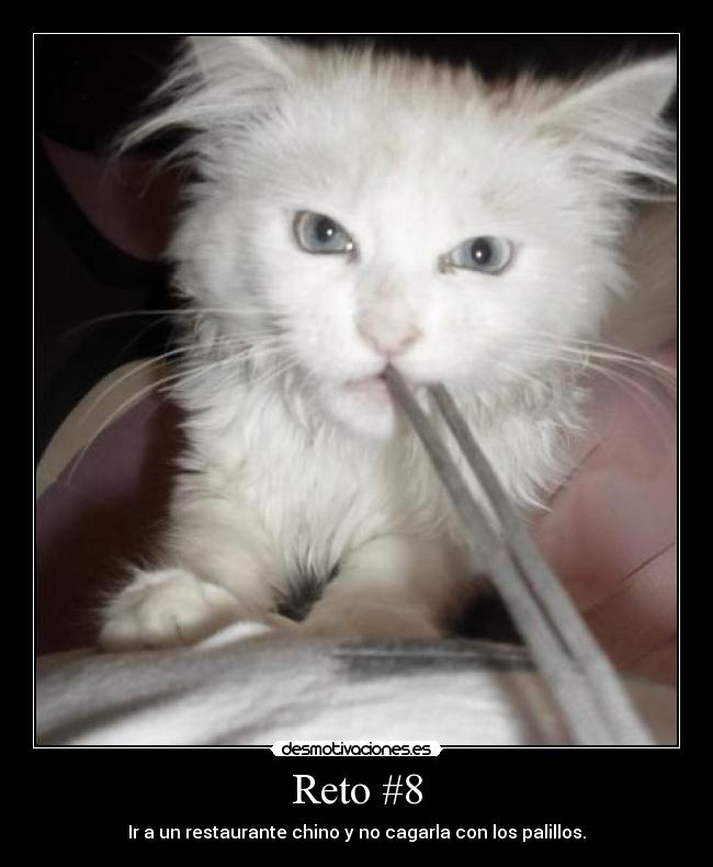 carteles reto desmotivaciones