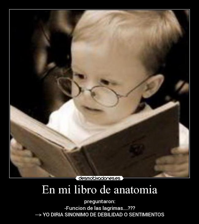 carteles libro desmotivaciones