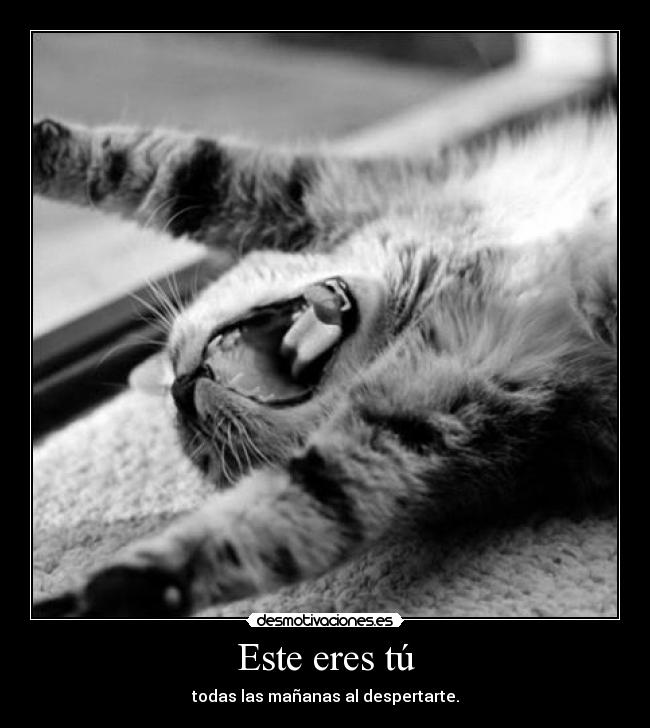 Este eres tú - todas las mañanas al despertarte.