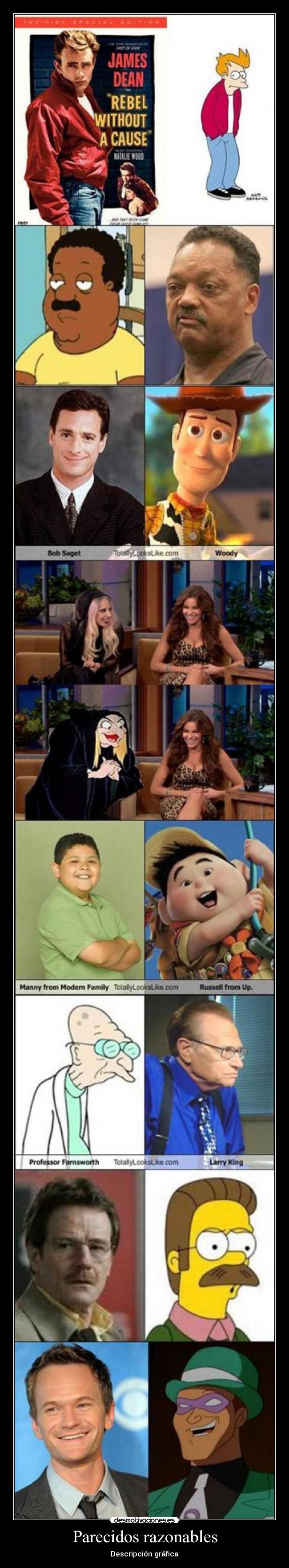Parecidos razonables -