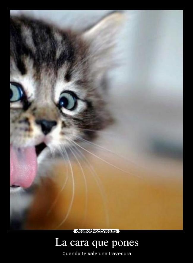 La cara que pones -