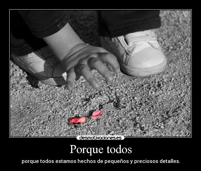 Porque todos -