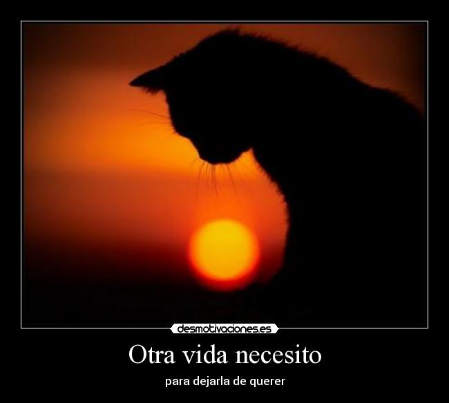 Otra vida necesito -