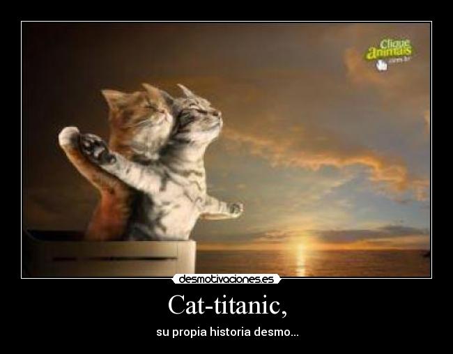Cat-titanic, - su propia historia desmo...