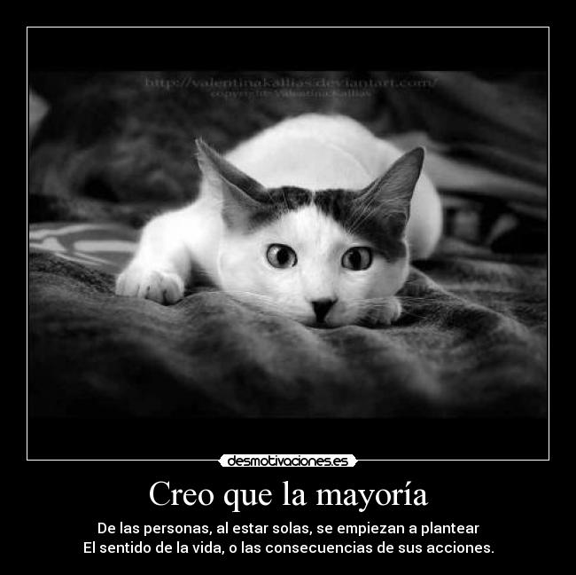 Creo que la mayoría -