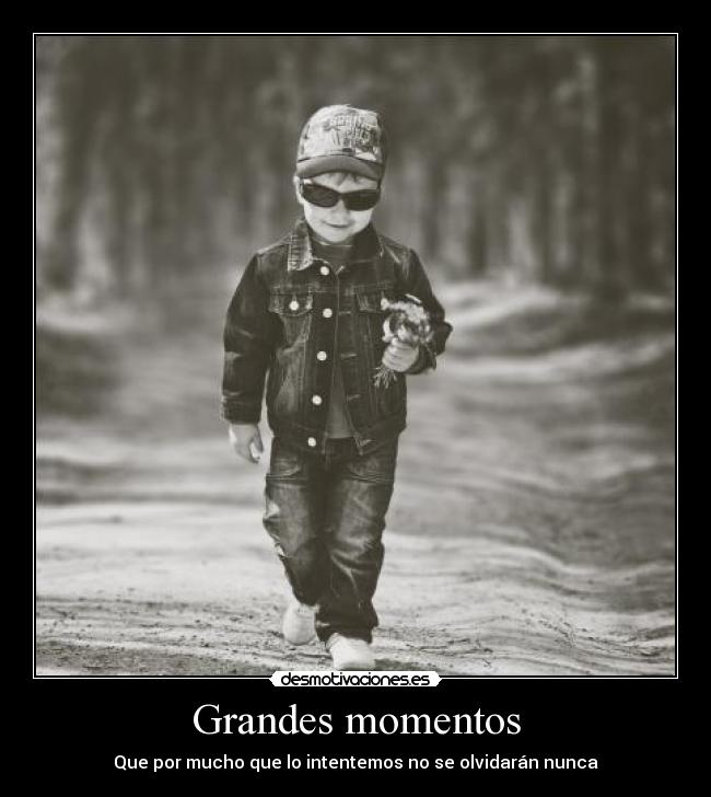 carteles gatos mas lindos que que lanluna5 desmotivaciones