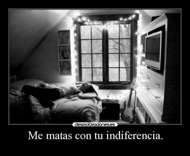 carteles mematas desmotivaciones