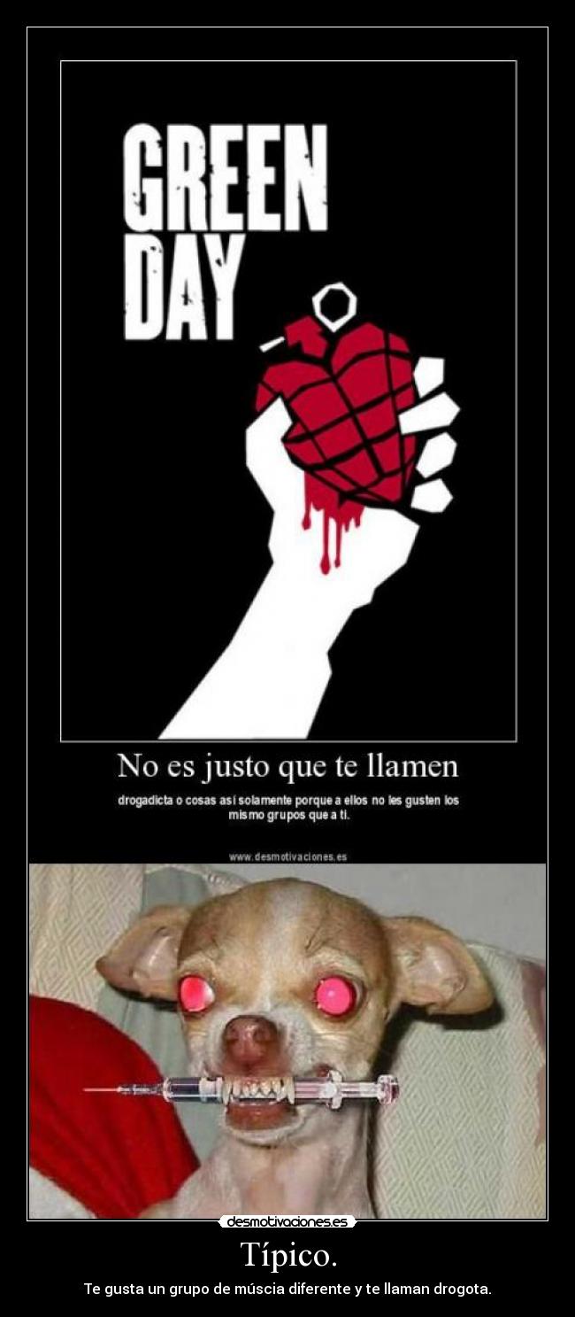 carteles patopatopatopatopatopatopatopatopatopatopatopatopatopatopatopatopatopatopatopatopato desmotivaciones