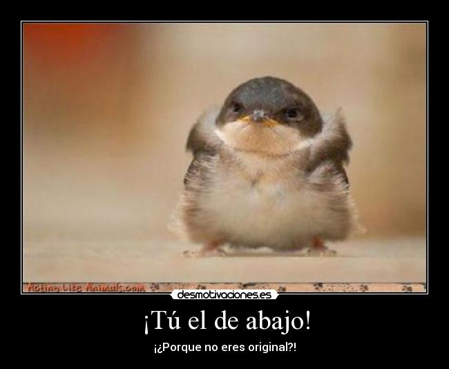 ¡Tú el de abajo! - ¡¿Porque no eres original?!