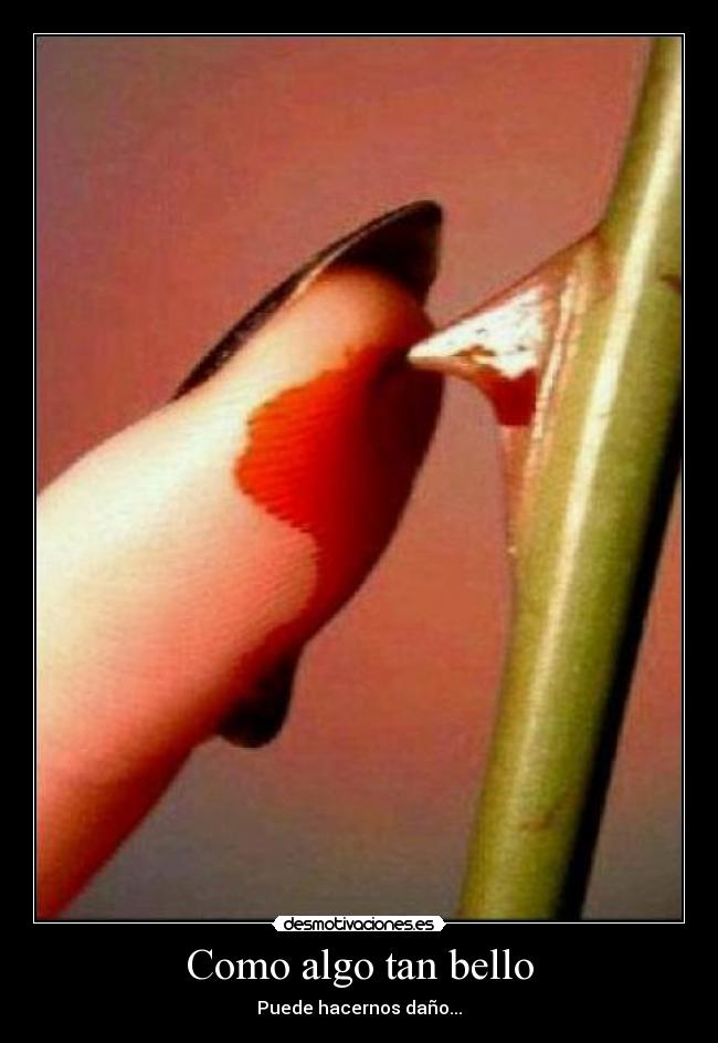 carteles como sufrimos amor desmotivaciones