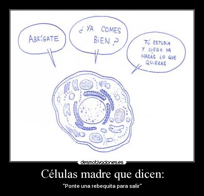 Células madre que dicen: -