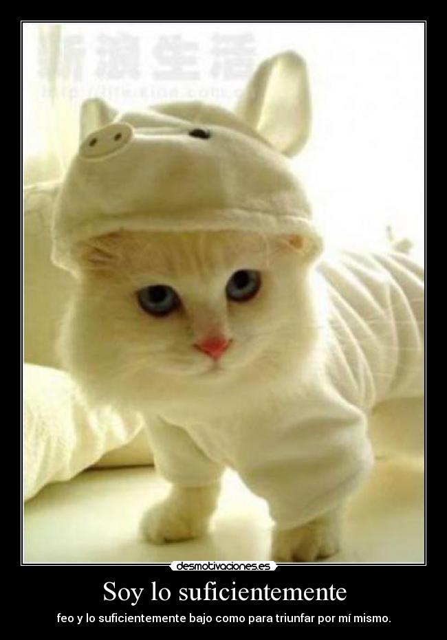 carteles desmotivaciones