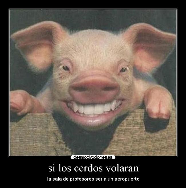 carteles los cerdos volaran desmotivaciones