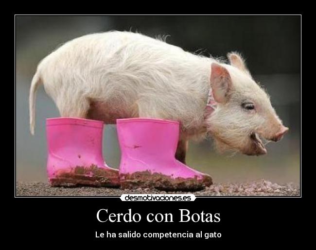 Cerdo con Botas - 