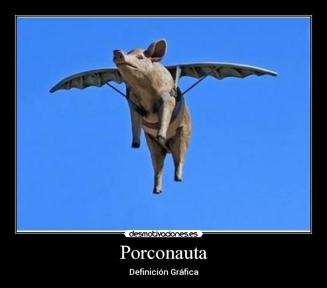 Porconauta - Definición Gráfica
