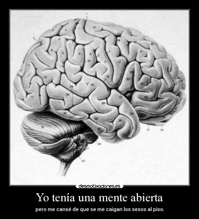 Yo tenía una mente abierta -