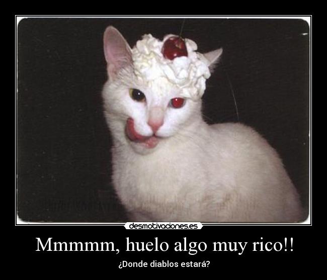 Mmmmm, huelo algo muy rico!! -