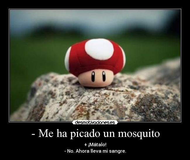 - Me ha picado un mosquito - + ¡Mátalo!
- No. Ahora lleva mi sangre.