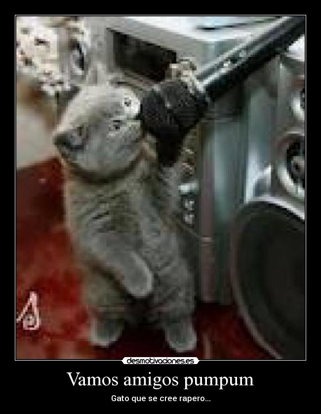 Vamos amigos pumpum - Gato que se cree rapero...