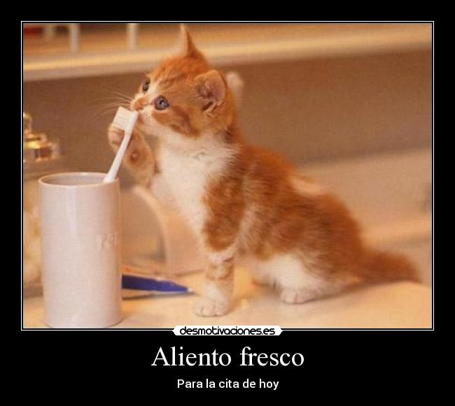 Aliento fresco - Para la cita de hoy