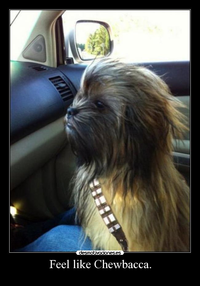 Feel like Chewbacca. -