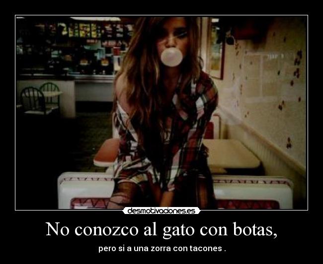 No conozco al gato con botas, -