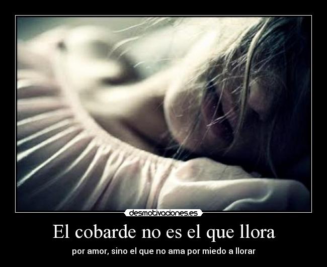 El cobarde no es el que llora -
