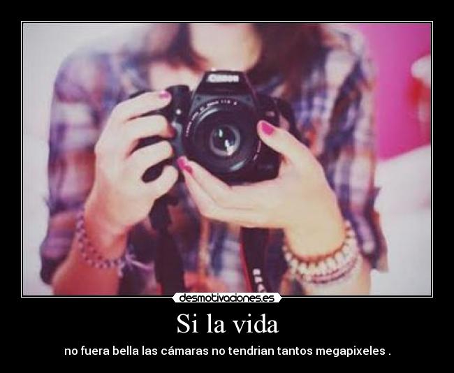 Si la vida - no fuera bella las cámaras no tendrian tantos megapixeles .