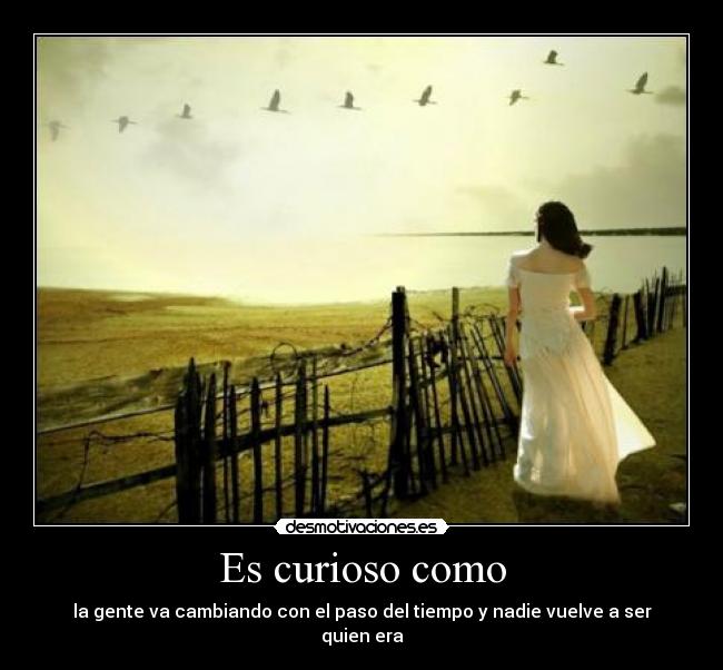 Es curioso como -