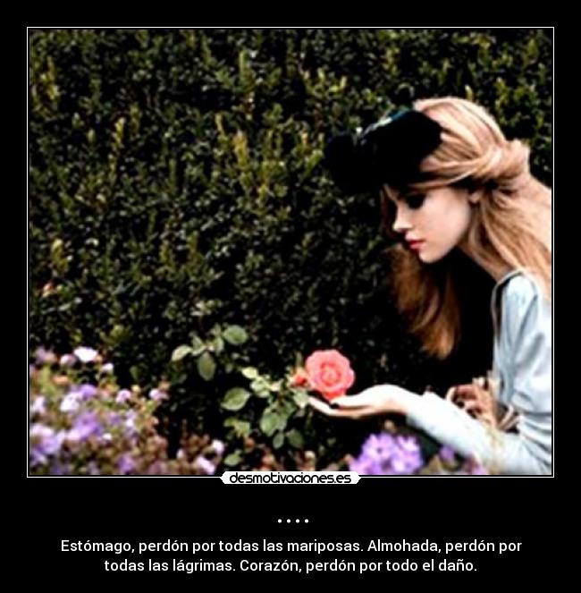.... - Estómago, perdón por todas las mariposas. Almohada, perdón por
todas las lágrimas. Corazón, perdón por todo el daño.