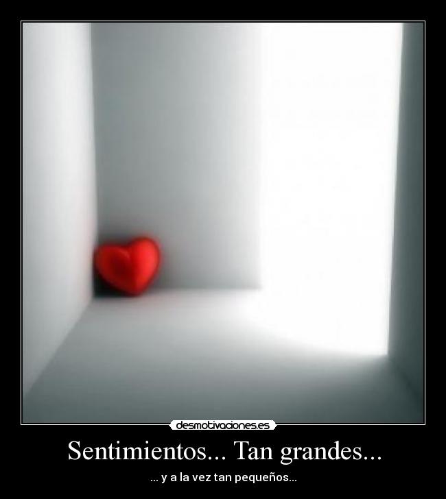 Sentimientos... Tan grandes... - 