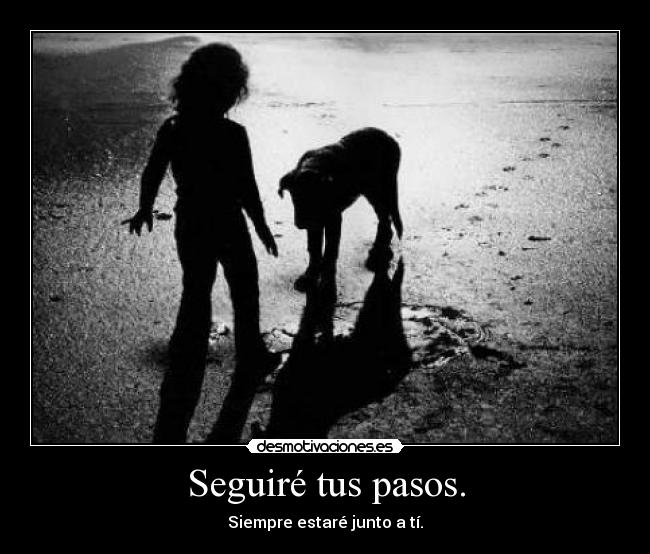 Seguiré tus pasos. - 