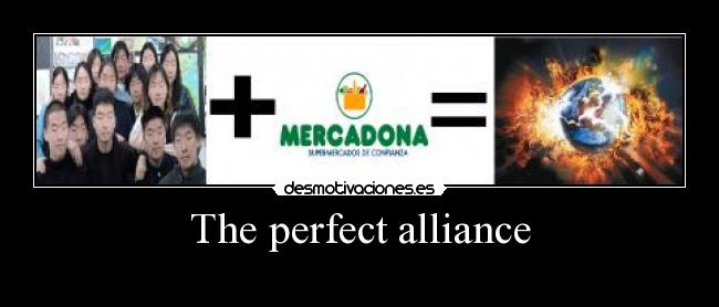 The perfect alliance - 