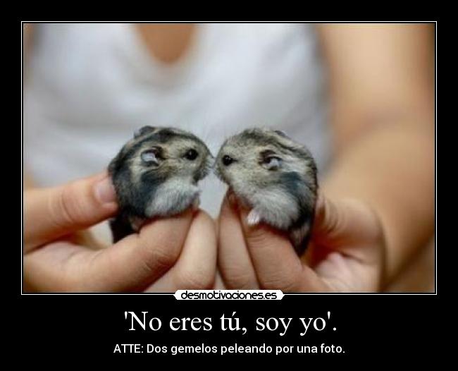 No eres tú, soy yo. - ATTE: Dos gemelos peleando por una foto.