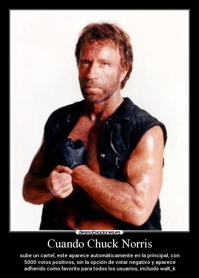 Cuando Chuck Norris - sube un cartel, este aparece automáticamente en la principal, con
5000 votos positivos, sin la opción de votar negativo y aparece
adherido como favorito para todos los usuarios, incluido walt_k