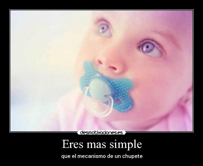 carteles koalas atunes mundo multicolor desmotivaciones