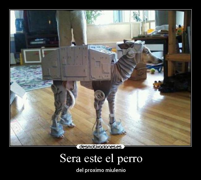 Sera este el perro -