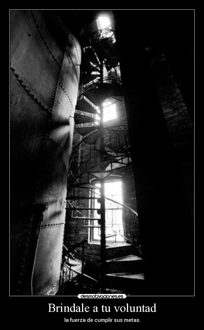 Brindale a tu voluntad - la fuerza de cumplir sus metas.
