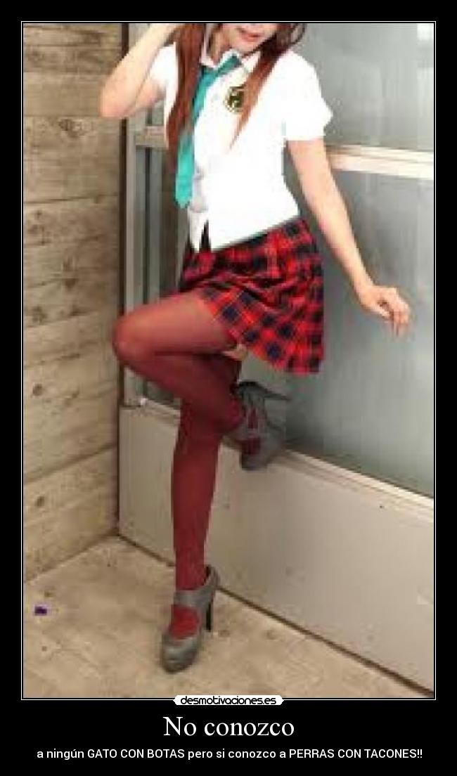 No conozco - a ningún GATO CON BOTAS pero si conozco a PERRAS CON TACONES!!