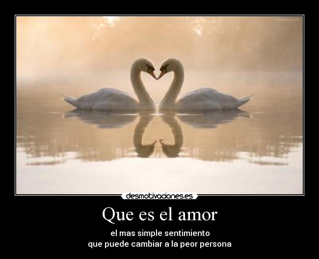 Que es el amor - 