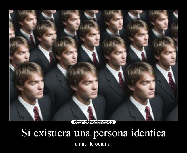Si existiera una persona identica - a mi ... lo odiaria .