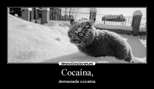 Cocaína, - 