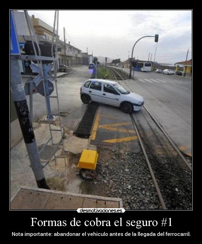 carteles estupidez humana desmotivaciones