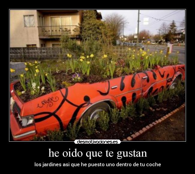 he oido que te gustan -