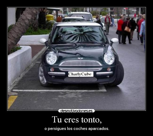 Tu eres tonto, - o persigues los coches aparcados.