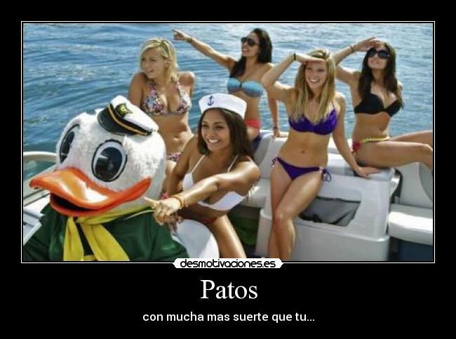 Patos - con mucha mas suerte que tu...