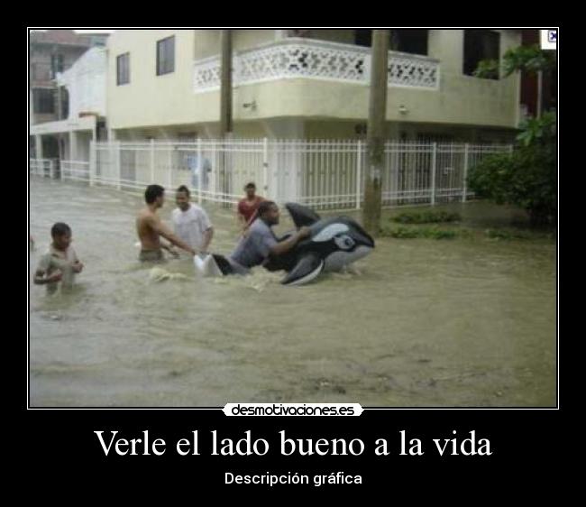 Verle el lado bueno a la vida - Descripción gráfica