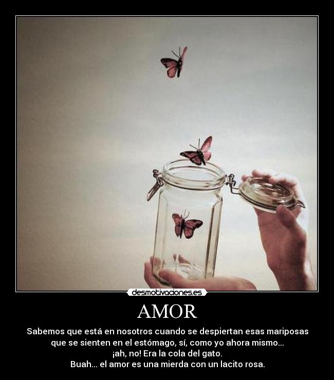 AMOR - Sabemos que está en nosotros cuando se despiertan esas mariposas
que se sienten en el estómago, sí, como yo ahora mismo...
¡ah, no! Era la cola del gato.
Buah... el amor es una mierda con un lacito rosa.