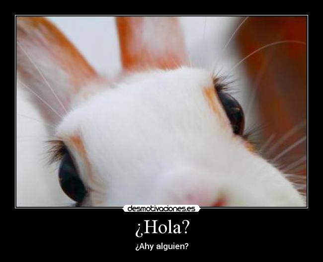 ¿Hola? -